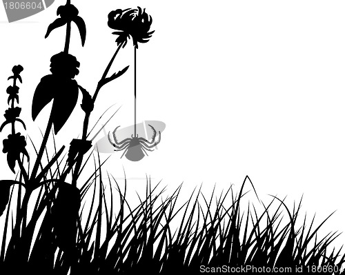 Image of meadow silhouettes