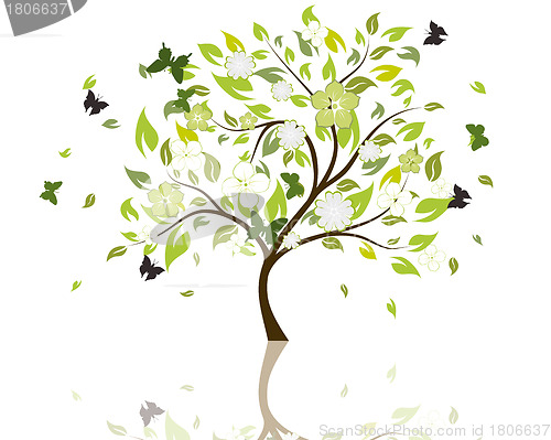 Image of blossom tree