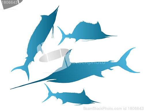 Image of marlin,  sailfish vector