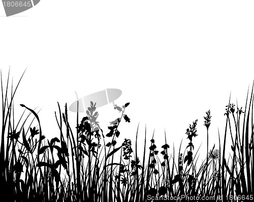 Image of meadow silhouettes
