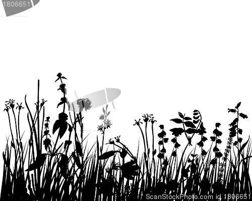 Image of meadow silhouettes