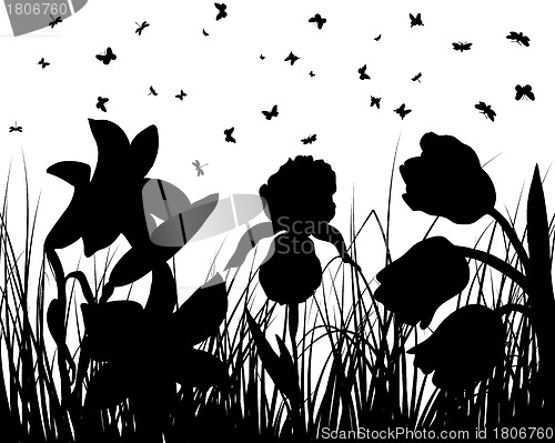 Image of meadow silhouettes