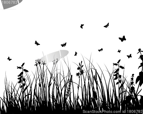 Image of meadow silhouettes