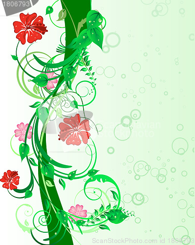 Image of floral background