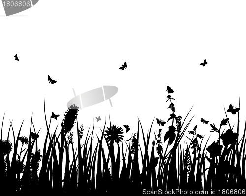 Image of meadow silhouettes