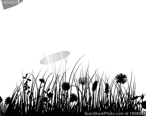 Image of meadow silhouettes