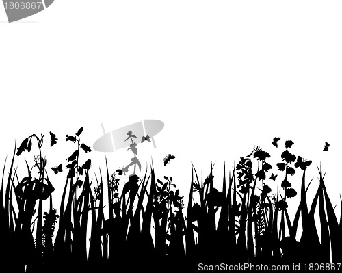 Image of meadow silhouettes