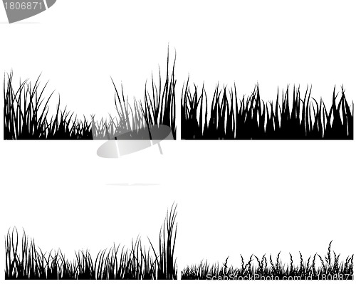 Image of set of grass silhouettes