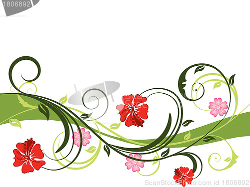 Image of floral background