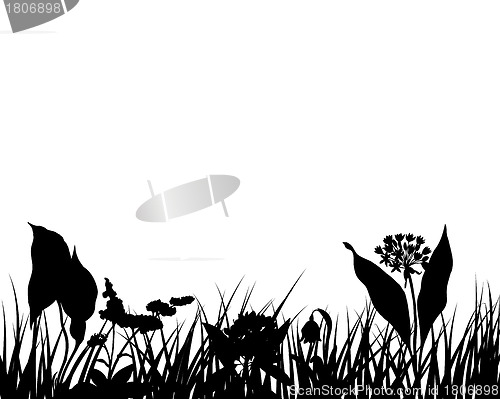 Image of meadow silhouettes