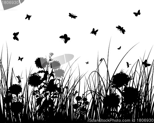 Image of meadow silhouettes