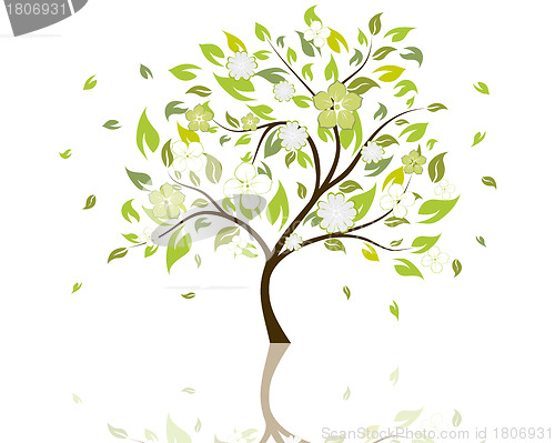 Image of blossom tree