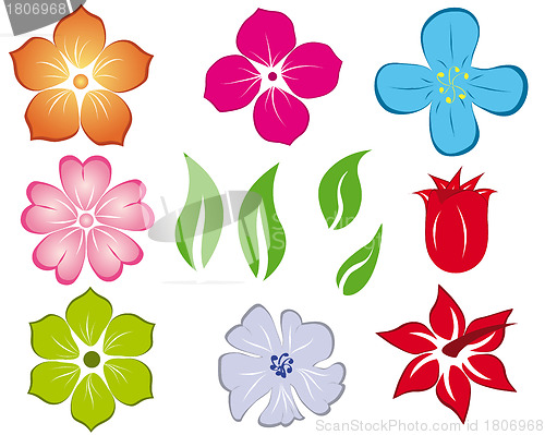 Image of flower set