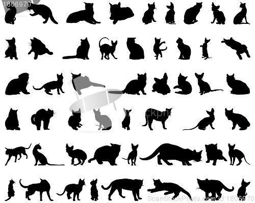 Image of cat silhouettes set