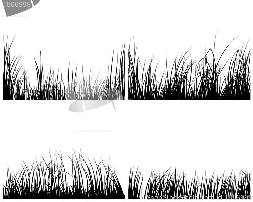 Image of set of grass silhouettes