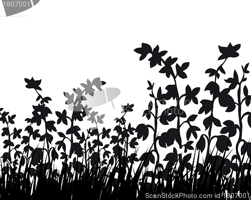 Image of meadow silhouettes