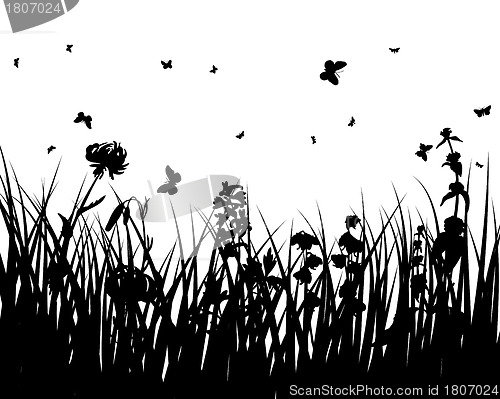 Image of meadow silhouettes