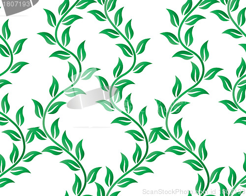 Image of seamless floral pattern