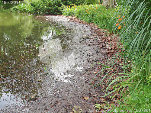 Image of Water pollution