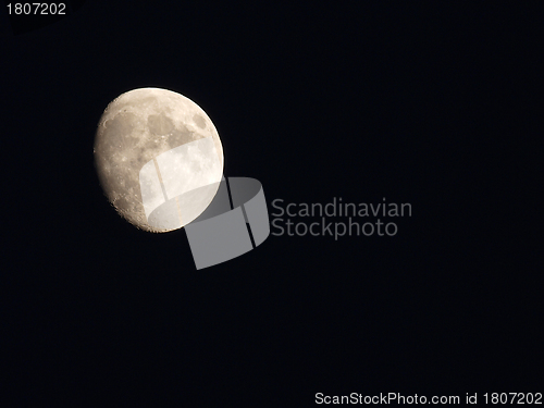 Image of The moon