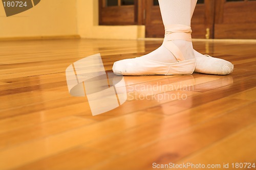 Image of pointe shoes #04