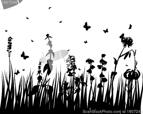 Image of meadow silhouettes