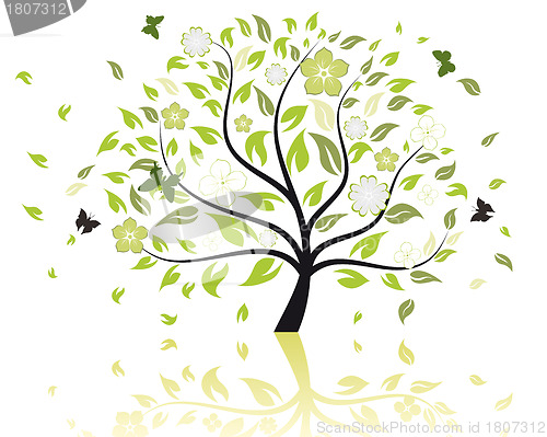 Image of blossom tree