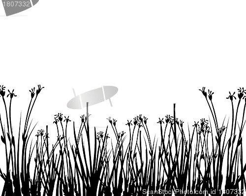 Image of meadow silhouettes