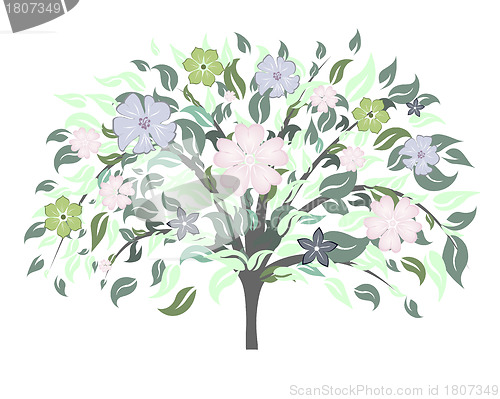 Image of blossom tree