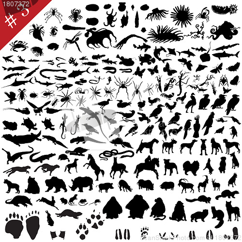 Image of # 3 set of animal silhouettes