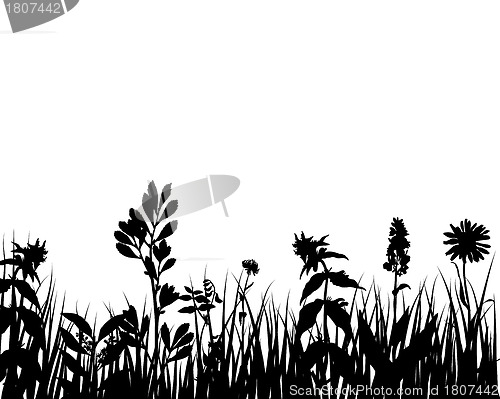 Image of meadow silhouettes