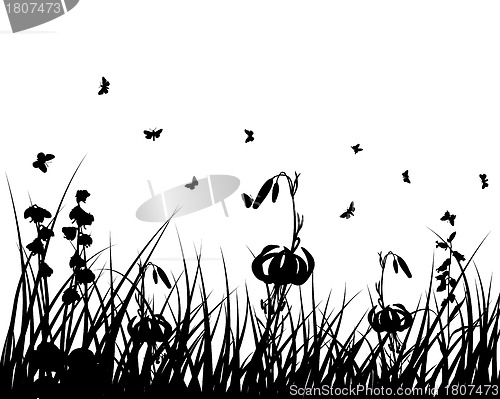 Image of meadow silhouettes