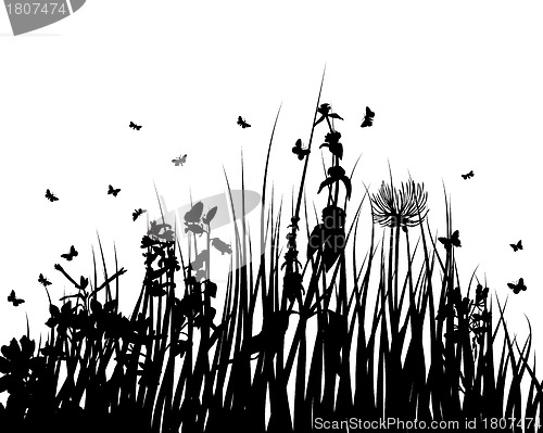 Image of meadow silhouettes