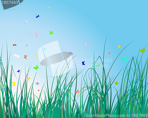 Image of grass background