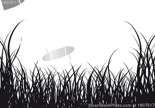 Image of meadow silhouettes