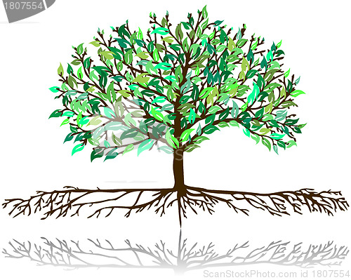Image of blossom tree