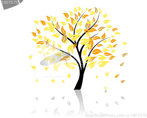 Image of autumn tree