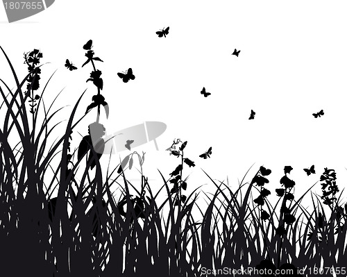 Image of meadow silhouettes