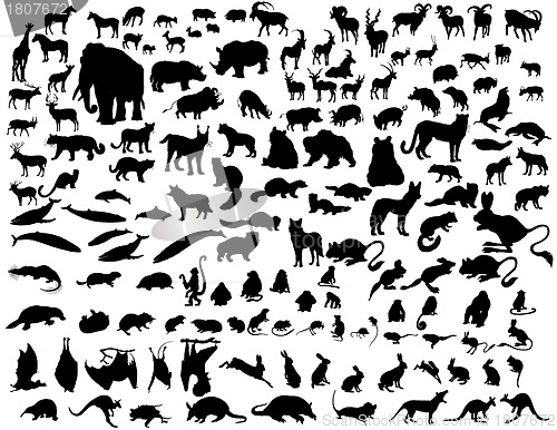 Image of animals set