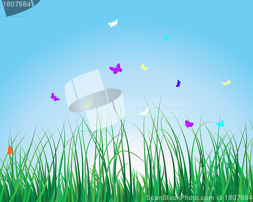 Image of grass background