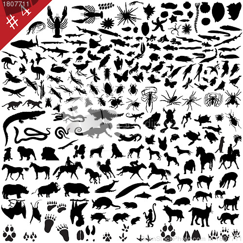 Image of # 4 set of animal silhouettes