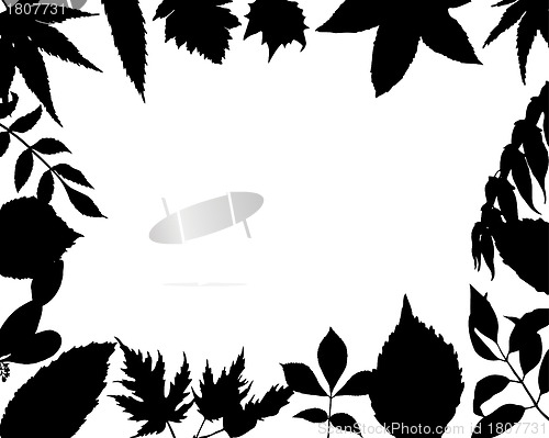 Image of floral frame