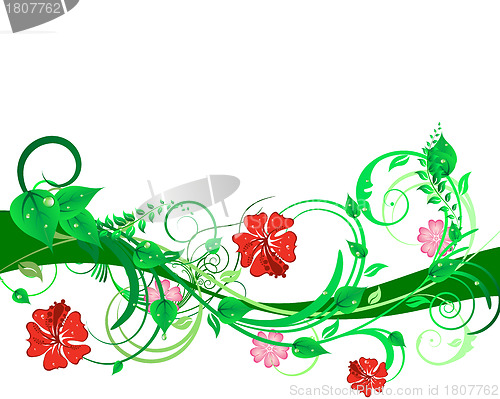 Image of floral background