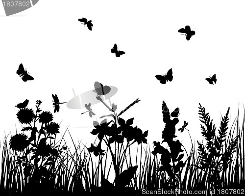 Image of meadow silhouettes