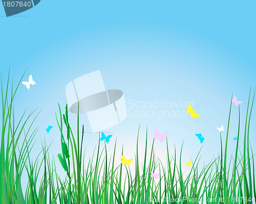 Image of grass background