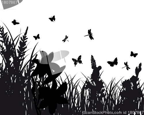 Image of meadow silhouettes