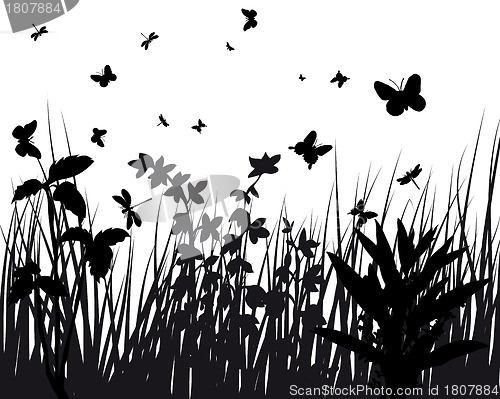 Image of meadow silhouettes
