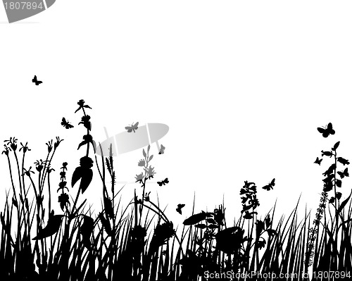 Image of meadow silhouettes