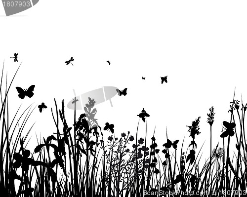 Image of meadow silhouettes