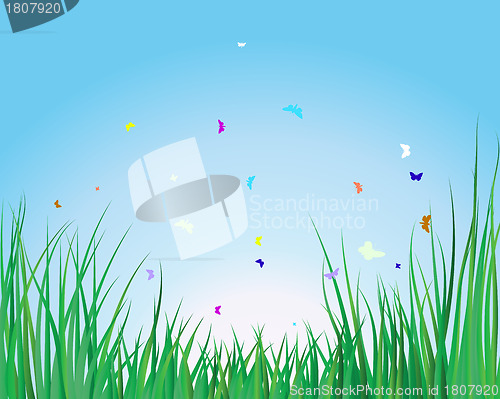 Image of grass background